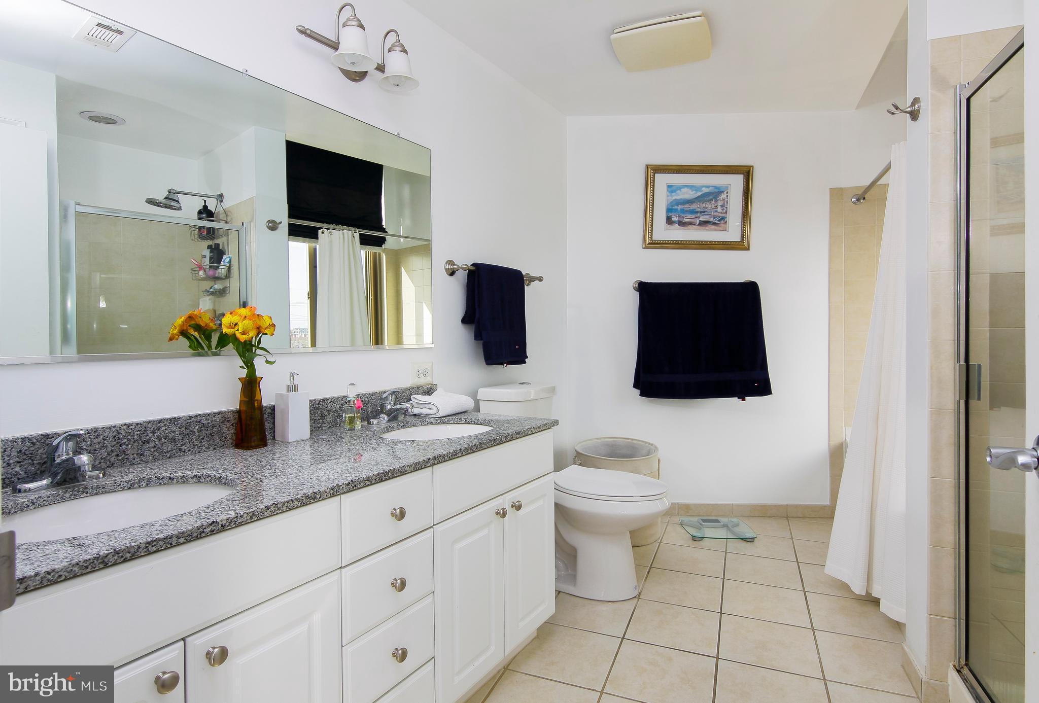 3600 South Glebe Road, Unit 323W Arlington, VA 22202 - Photo 18 of 28 Bath (Master)