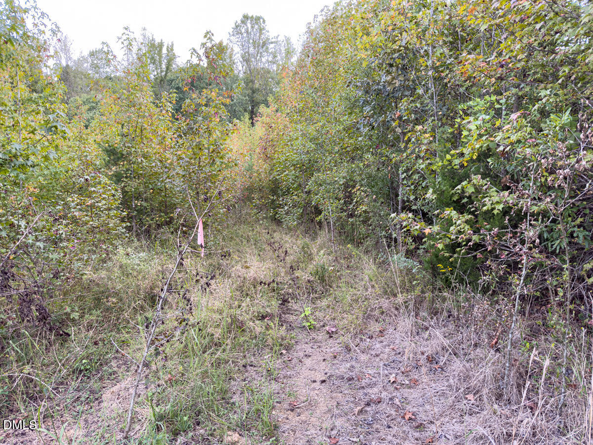 0 Mann Oakley Road Rougemont, NC 27572 - Photo 37 of 55 36