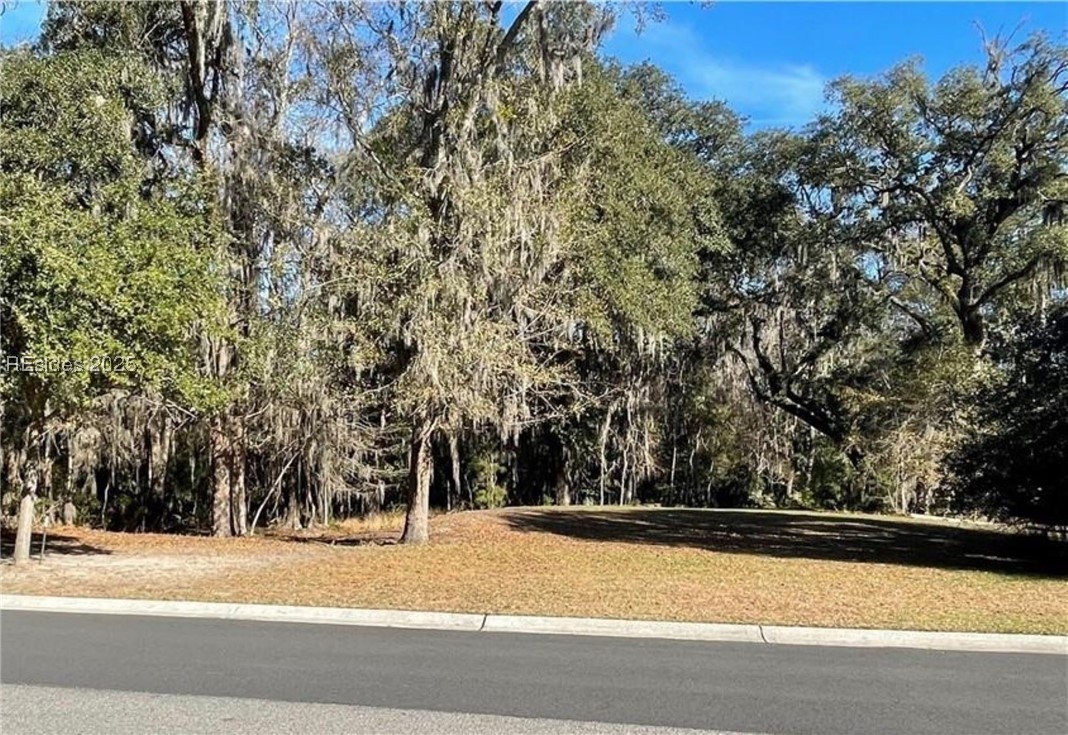 242 Farnsleigh Avenue Bluffton, SC 29910 - Photo 3 of 19