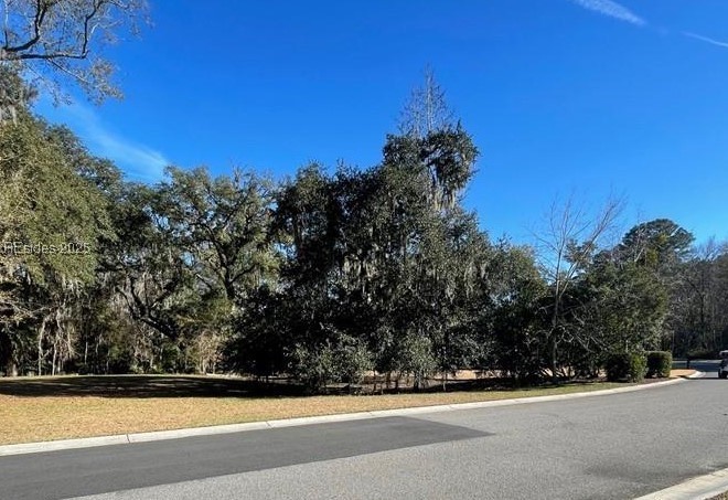 242 Farnsleigh Avenue Bluffton, SC 29910 - Photo 4 of 19