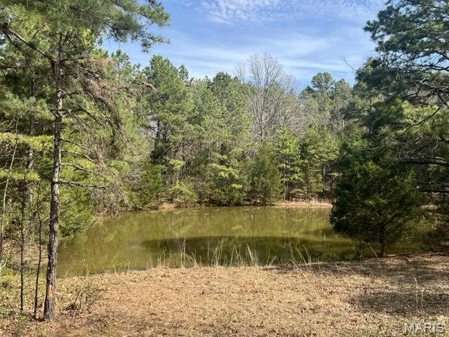 $250,000 | 14953 County Road 615, Birch Tree, MO 65438