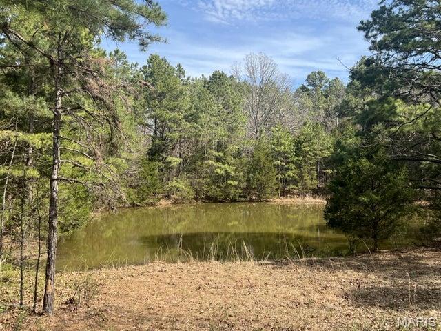 14953 County Road 615 Birch Tree, MO 65438 - Photo 18 of 23