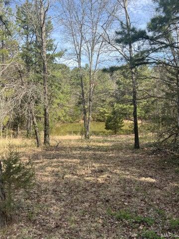 14953 County Road 615 Birch Tree, MO 65438 - Photo 19 of 23