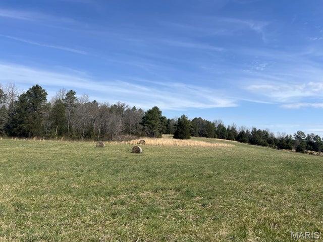 14953 County Road 615 Birch Tree, MO 65438 - Photo 4 of 23