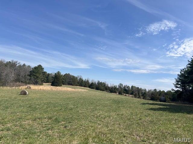 14953 County Road 615 Birch Tree, MO 65438 - Photo 5 of 23