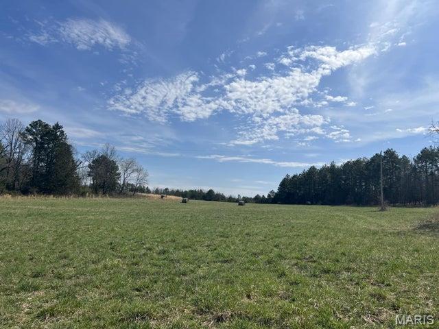 14953 County Road 615 Birch Tree, MO 65438 - Photo 7 of 23