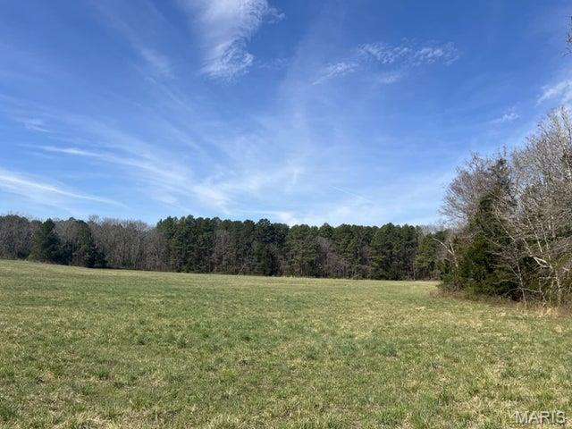 14953 County Road 615 Birch Tree, MO 65438 - Photo 10 of 23