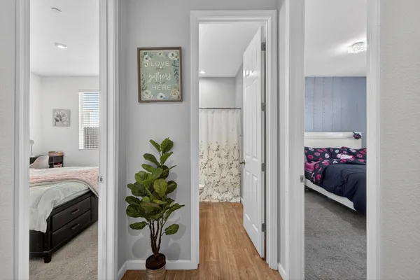 a view of bathroom with a potted plant on the counter and a chair