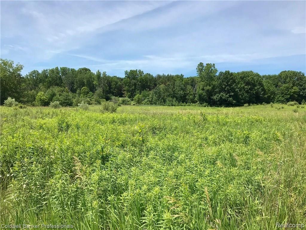 0 Lake Road Otisville, MI 48463 - Photo 1 of 12