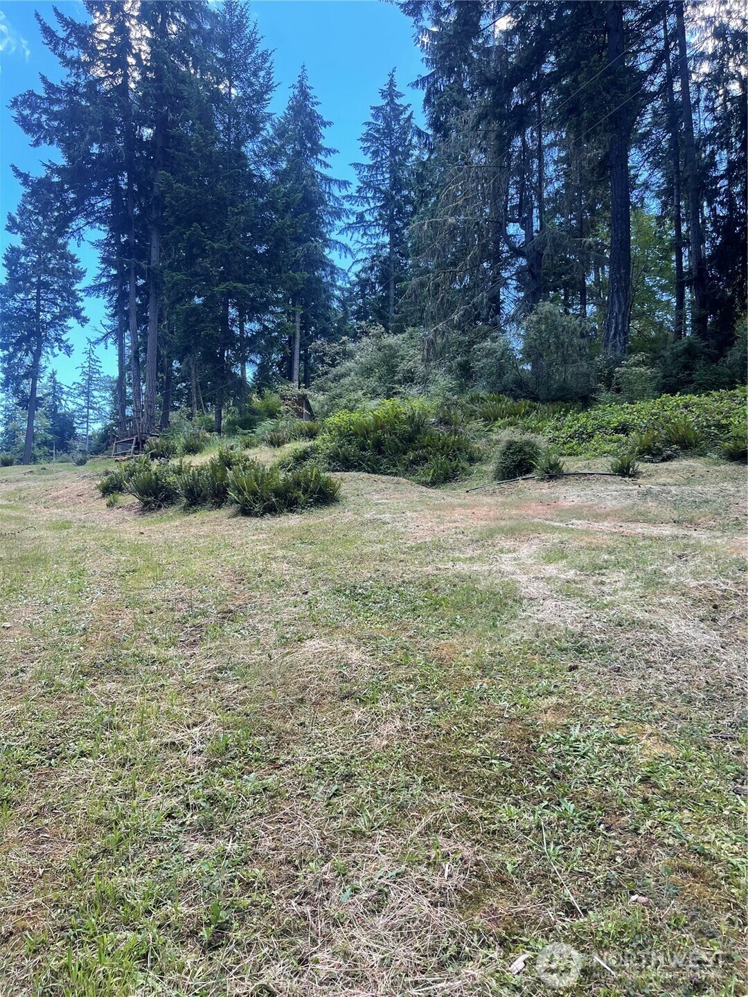0 Reef Net Road Friday Harbor, WA 98250 - Photo 21 of 40
