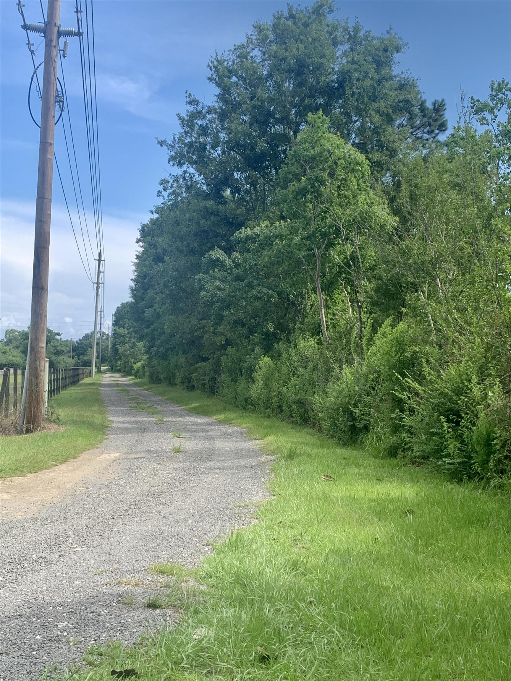 8206 Capri Lane Foley, AL 36535 - Photo 5 of 10 Tree line along property