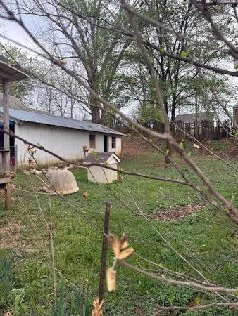 a backyard of a house with lots of green space