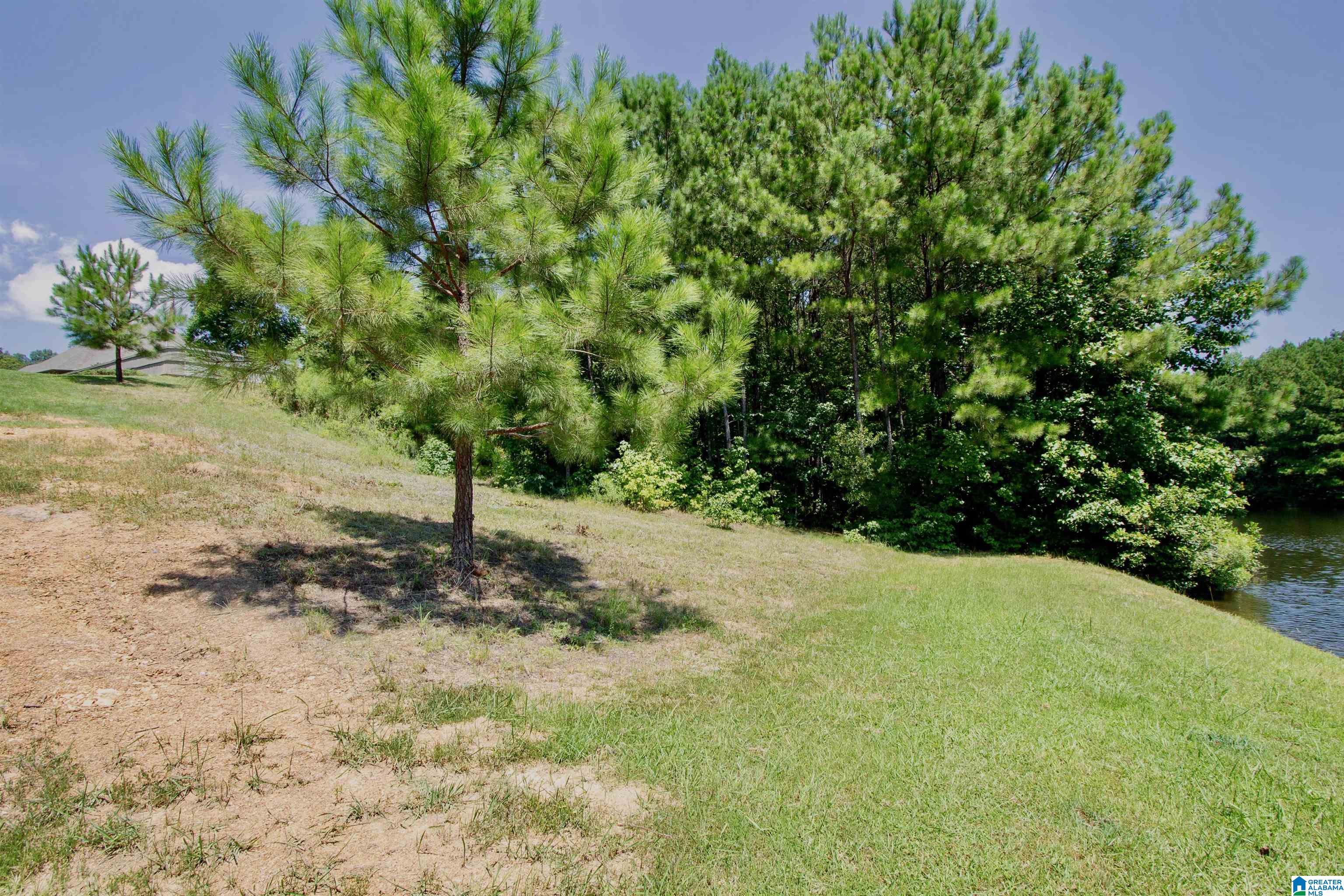 632 Foothills Trace Chelsea, AL 35043 - Photo 20 of 55
