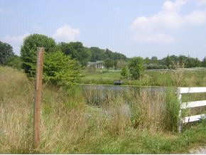 5420 Whitehouse Road, Unit 1 Greeneville, TN 37745 - Photo 8 of 9 Photo 8