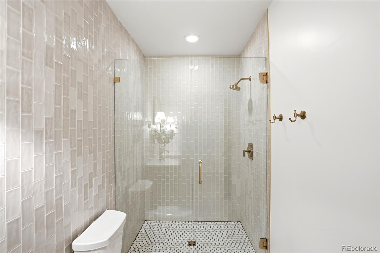 245 South Emerson Street Denver, CO 80209 - Photo 27 of 49 a bathroom with a shower and toilet