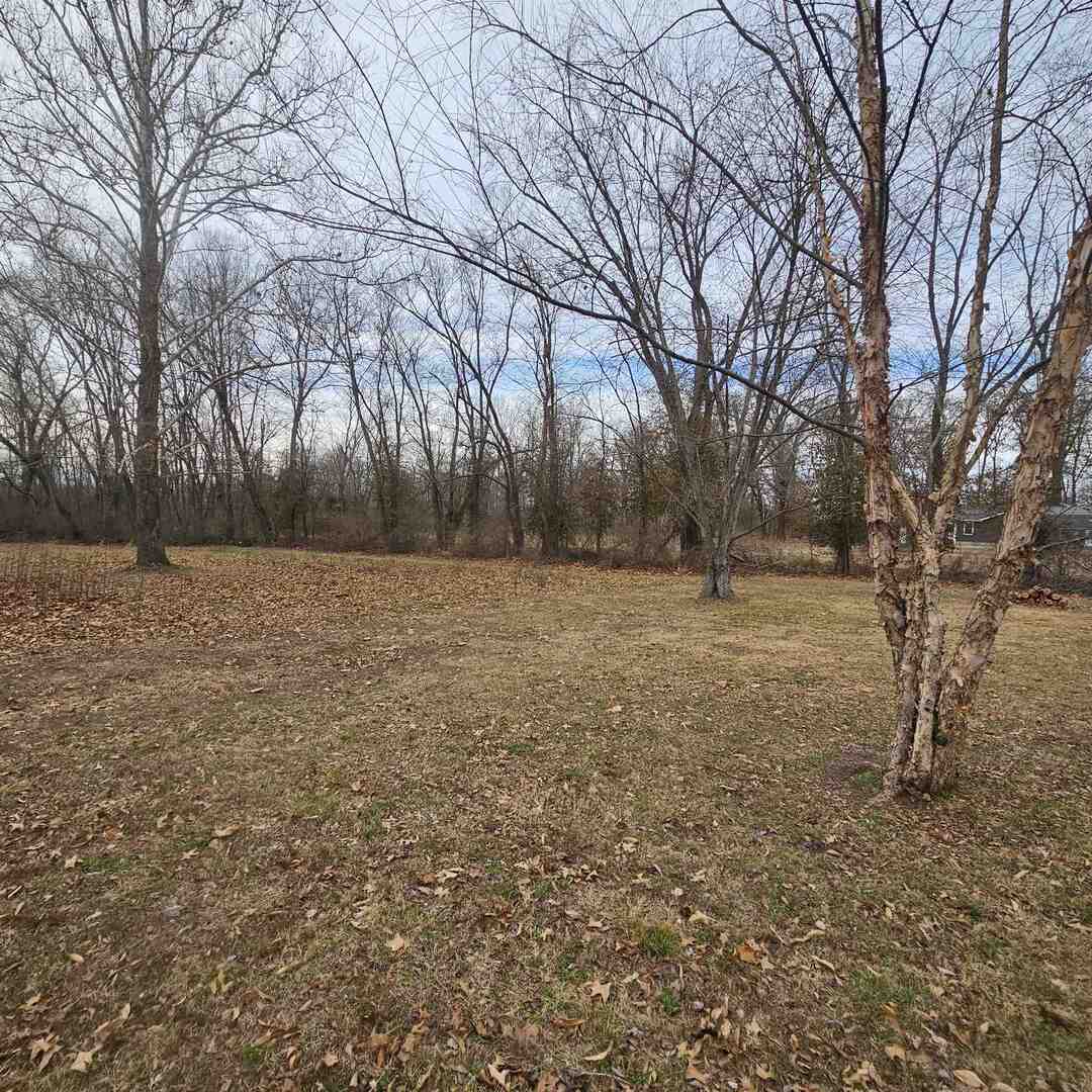14027 North Link Lane Mount Vernon, IL 62864 - Photo 24 of 28 a view of a yard with trees