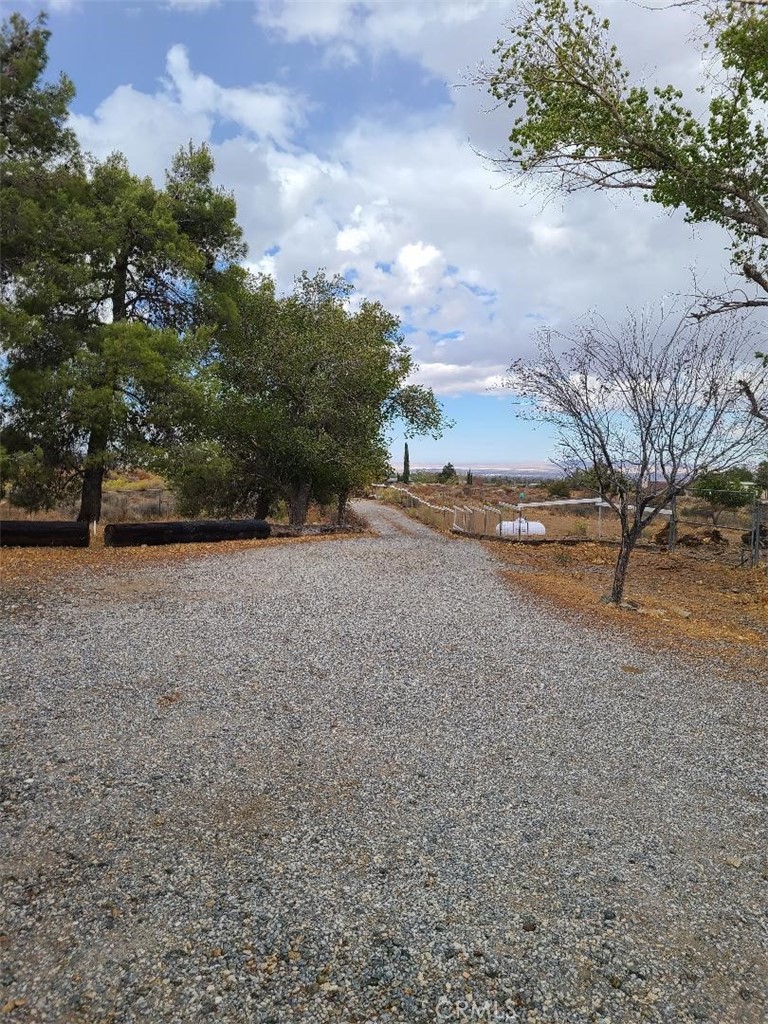 8725 Monte Vista Road Phelan, CA 92371 - Photo 3 of 31 a view of dirt field with trees