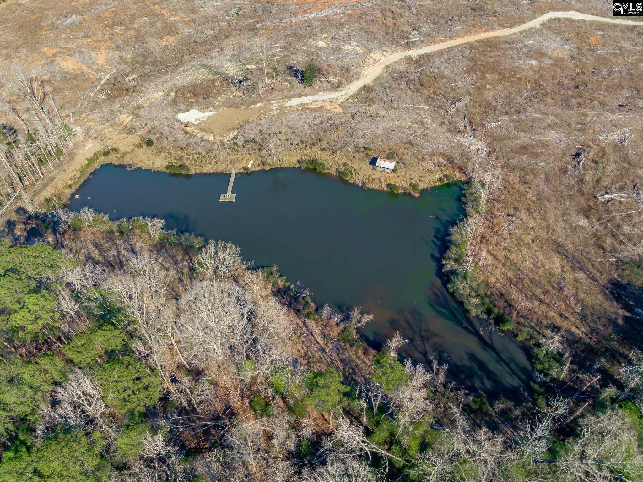 501 Crooked Creek Road Chapin, SC 29036 - Photo 21 of 28