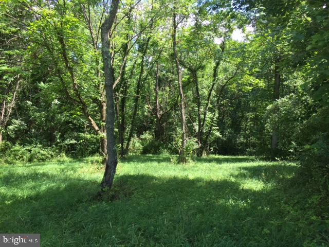 0 Twin Mountain View Road Hedgesville, WV 25427 - Photo 5 of 5 Call for plat and additional information on file.