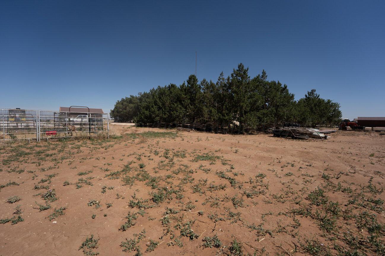 693 County Road 24 Muleshoe, TX 79347 - Photo 78 of 98 Color-83