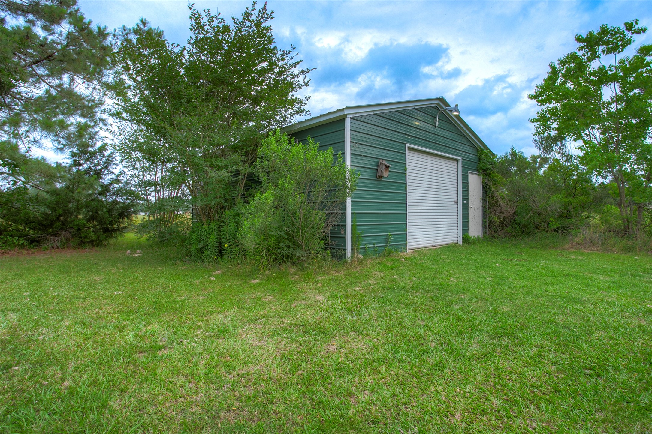 176 Low Keels Road Trinity, TX 75862 - Photo 38 of 46 a backyard of a house with lots of green space