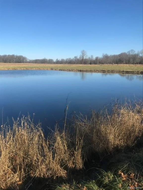 L L Drive Highland, MI 48357 - Photo 1 of 1
