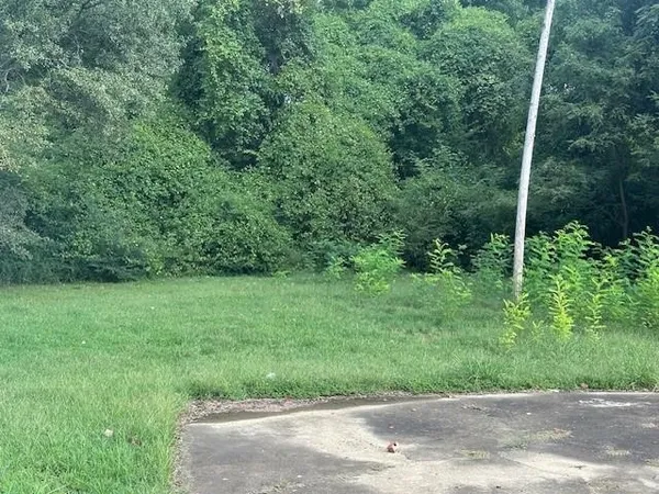 a view of a yard