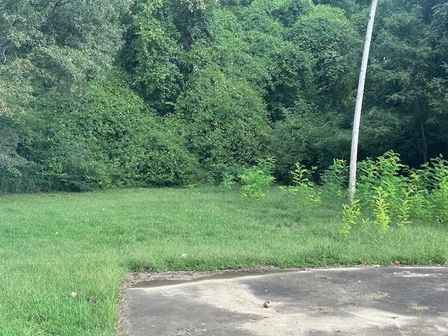 344 Dixie Road Memphis, TN 38109 - Photo 4 of 8 a view of a yard