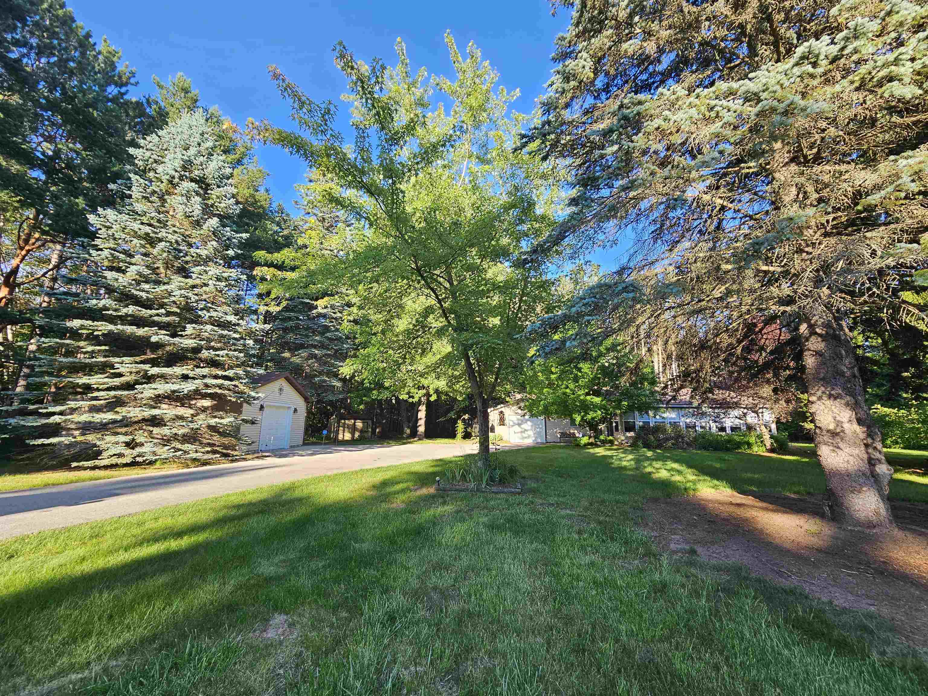 3351 South Dickerson Road Lake City, MI 49651 - Photo 4 of 52