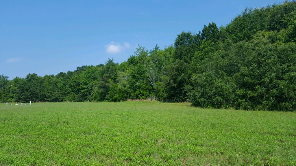 Lot 1 Willow Run Road Aiken, SC 29801 - Photo 1 of 2 a view of a grassy field with trees in the background