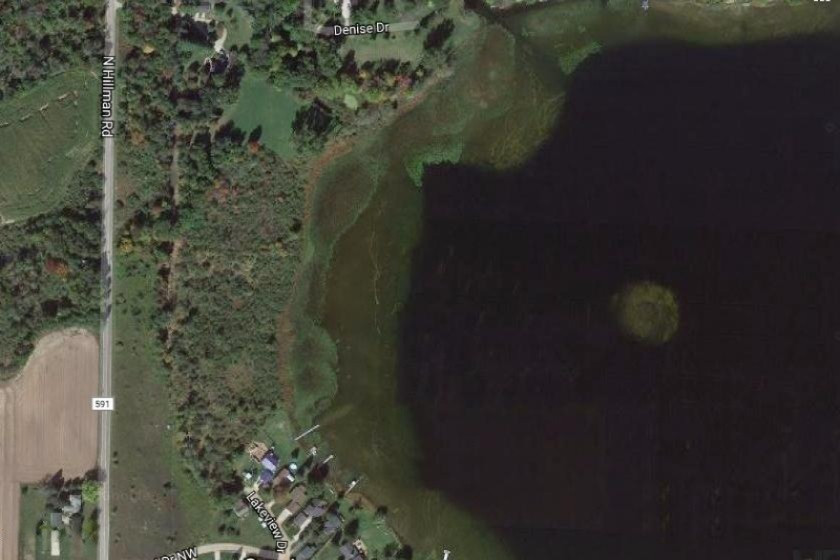Tbd North Hillman Road Stanton, MI 48888 - Photo 8 of 8 8. Dickerson Lake Aerial