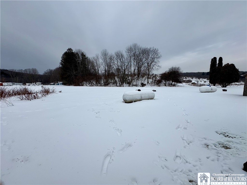 5919 County Road Cuba, NY 14727 - Photo 21 of 21