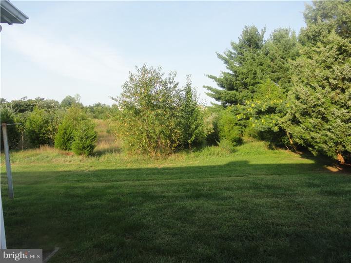 33 Main Road Hammonton, NJ 08037 - Photo 18 of 23 View in Back