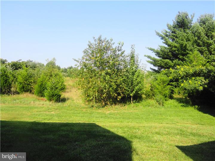 33 Main Road Hammonton, NJ 08037 - Photo 3 of 23 Back Yard
