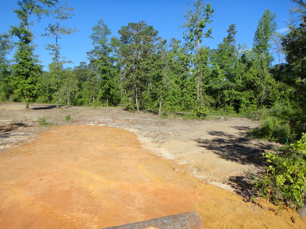 0 Otho Road Abbeville, AL 36310 - Photo 9 of 11