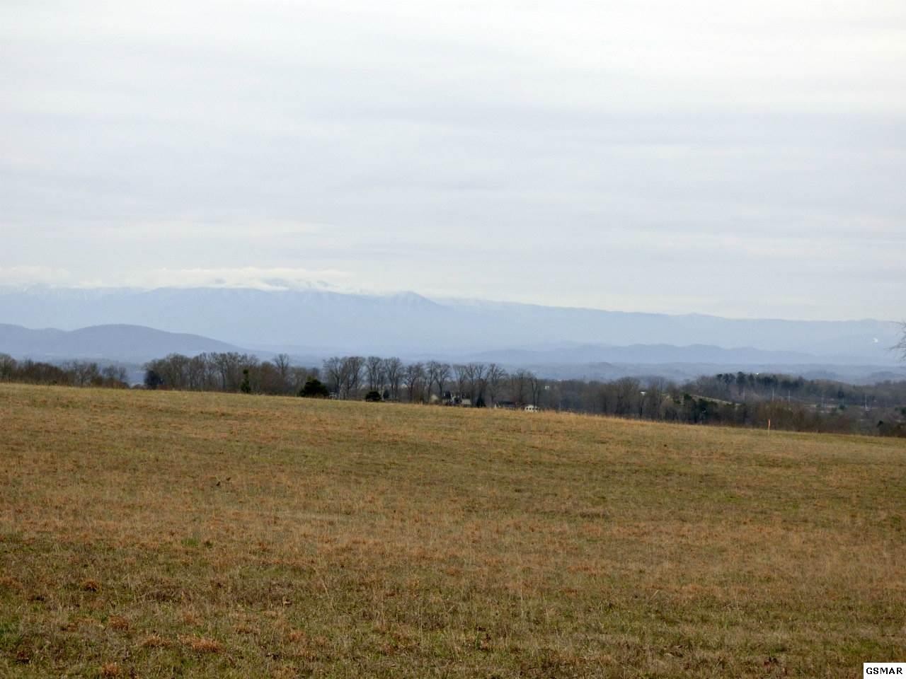 4 Valley Home Road Dandridge, TN 37725 - Photo 17 of 30 Gallery Image 17