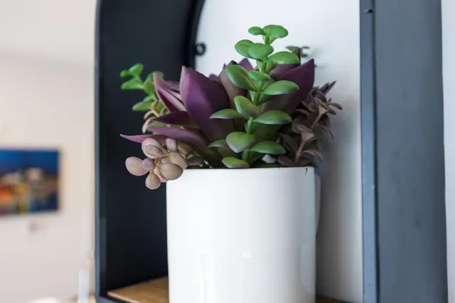 a close view of light fixtures and wooden floor