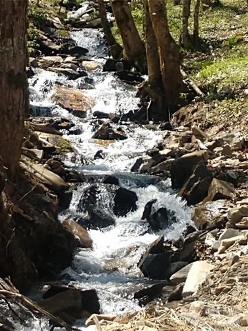 $39,900 | 9999 Clara Corn Drive, Maggie Valley, NC 28751