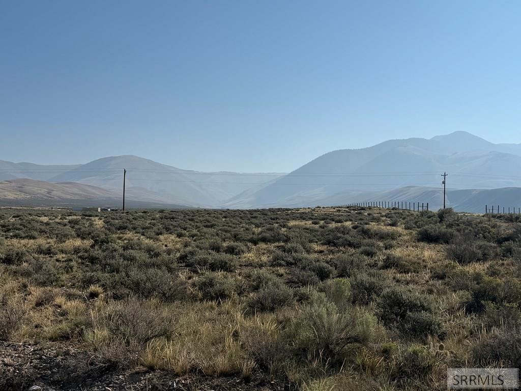 Tbd Peterson Creek Road Leadore, ID 83464 - Photo 4 of 10 Gallery Image 4