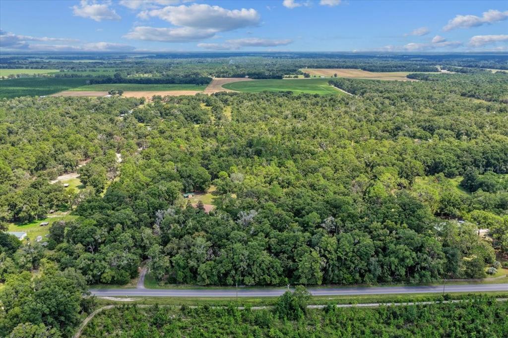 4700 Northwest 55th Avenue Bell, FL 32619 - Photo 28 of 77 a view of a green yard