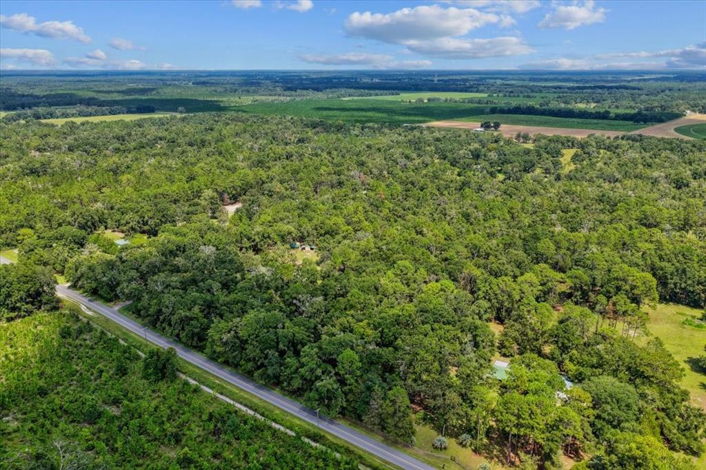 4700 Northwest 55th Avenue Bell, FL 32619 - Photo 29 of 77