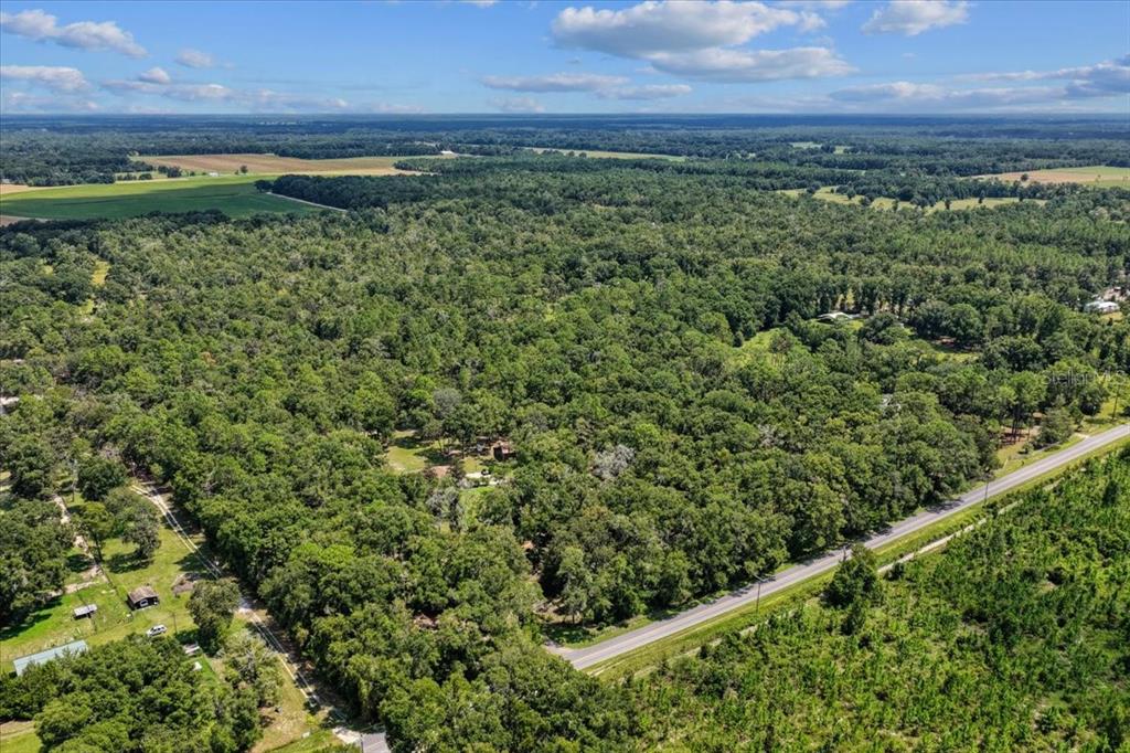 4700 Northwest 55th Avenue Bell, FL 32619 - Photo 30 of 77