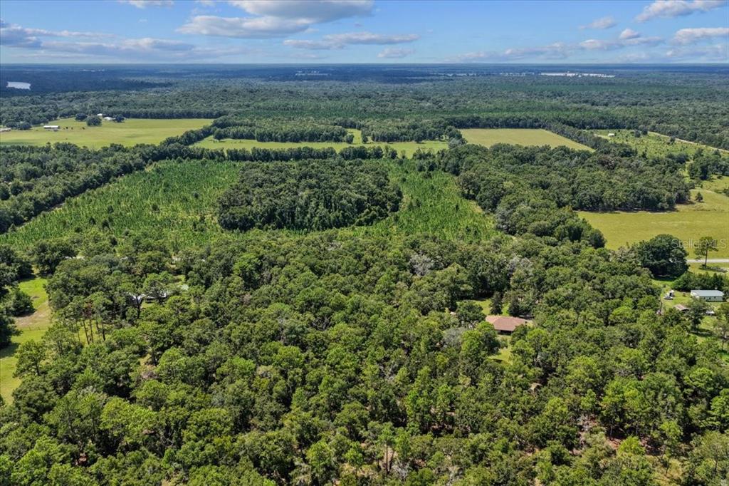 4700 Northwest 55th Avenue Bell, FL 32619 - Photo 31 of 77