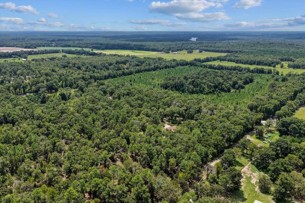4700 Northwest 55th Avenue Bell, FL 32619 - Photo 32 of 77 a view of a green field with lots of trees