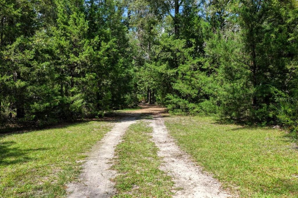 4700 Northwest 55th Avenue Bell, FL 32619 - Photo 35 of 77