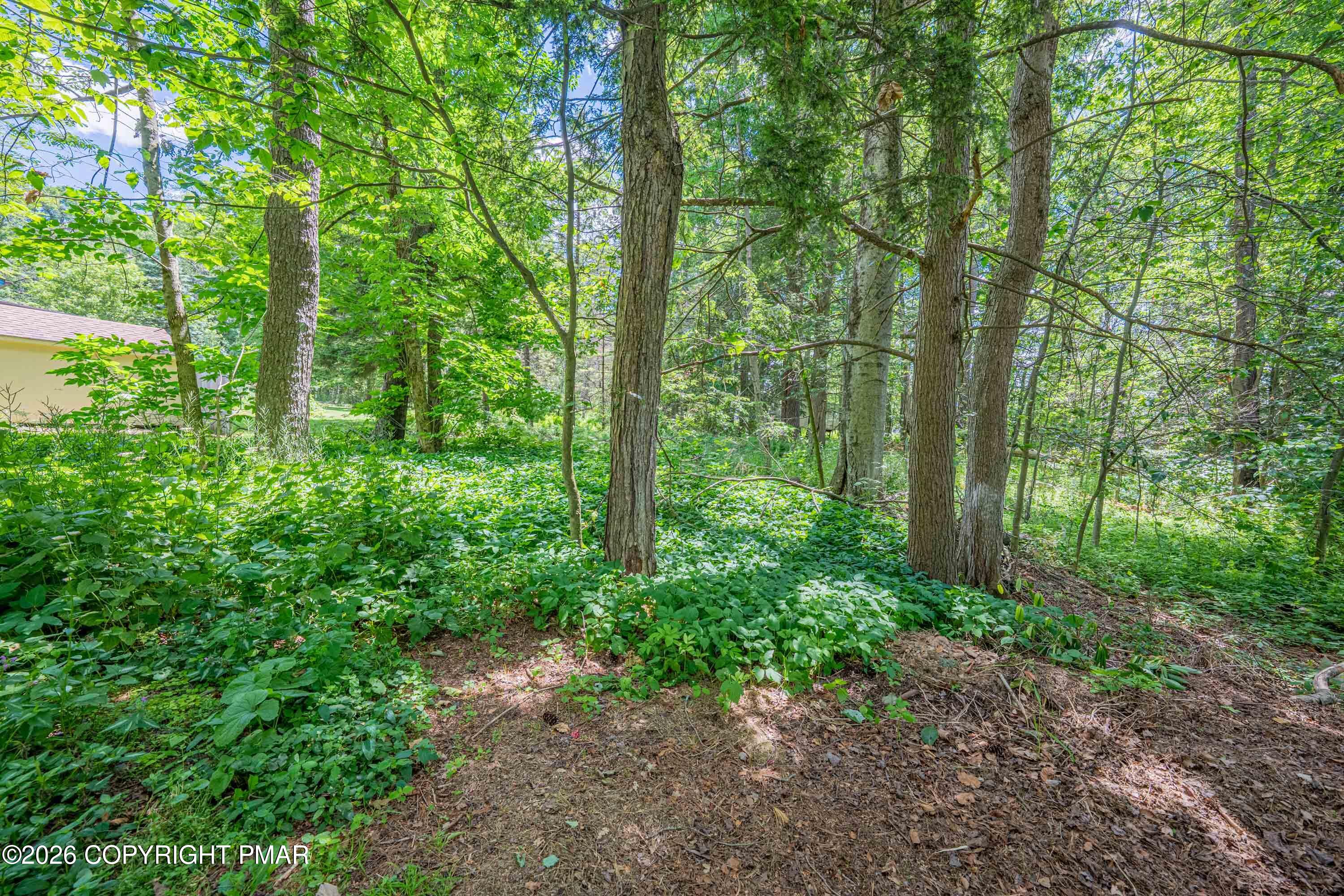 5226 Beechwood Road Pocono Lake, PA 18347 - Photo 61 of 65 5226 Beechwood-52
