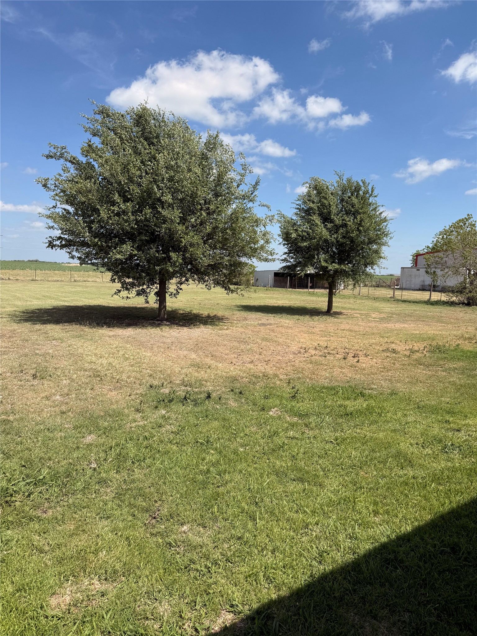 5931 Limmer Loop Hutto, TX 78634 - Photo 21 of 22 View of yard