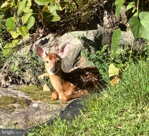 $549,000 | 10620 Kyper Road, Huntingdon, PA 16652