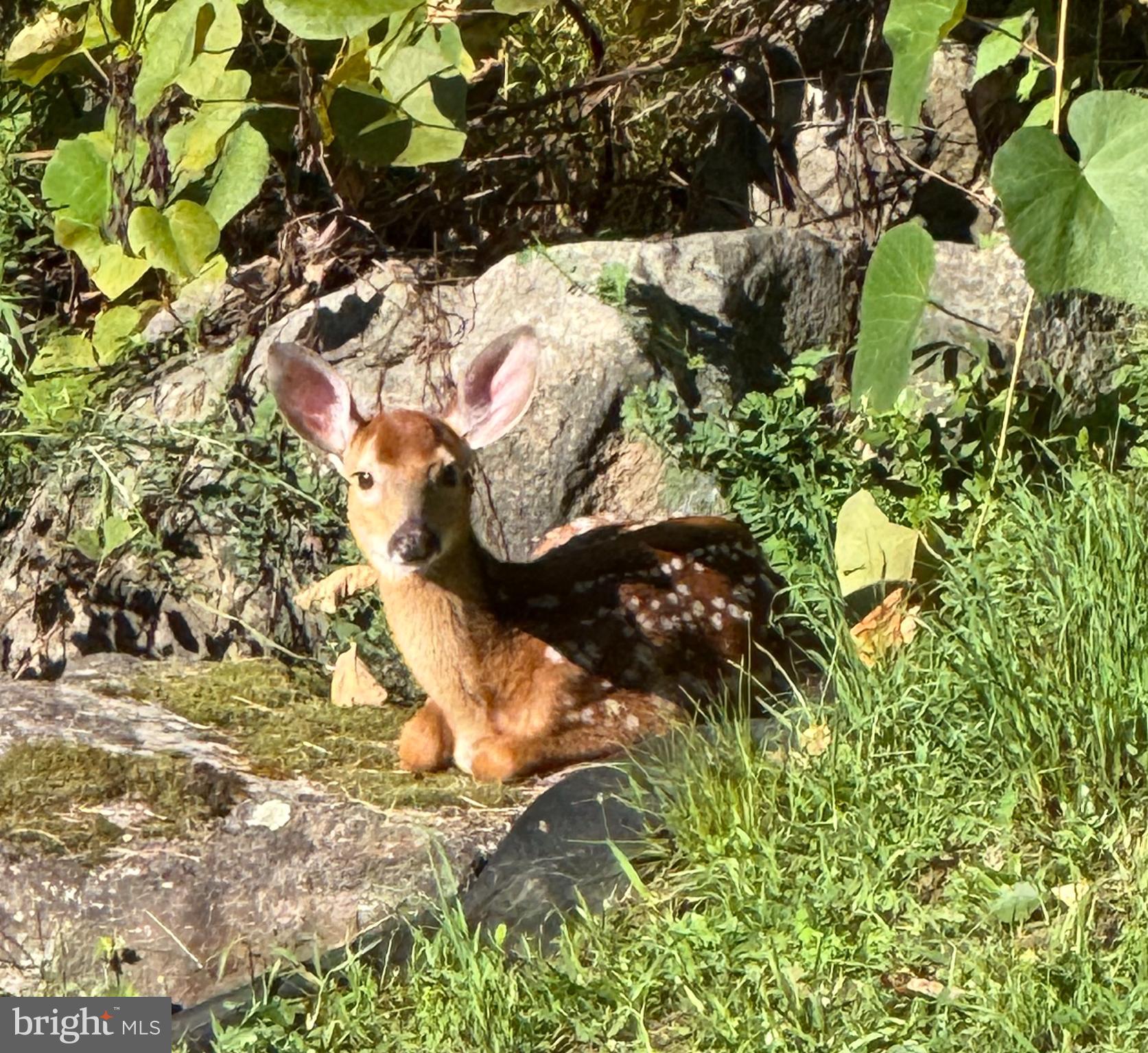 10620 Kyper Road Huntingdon, PA 16652 - Photo 102 of 104