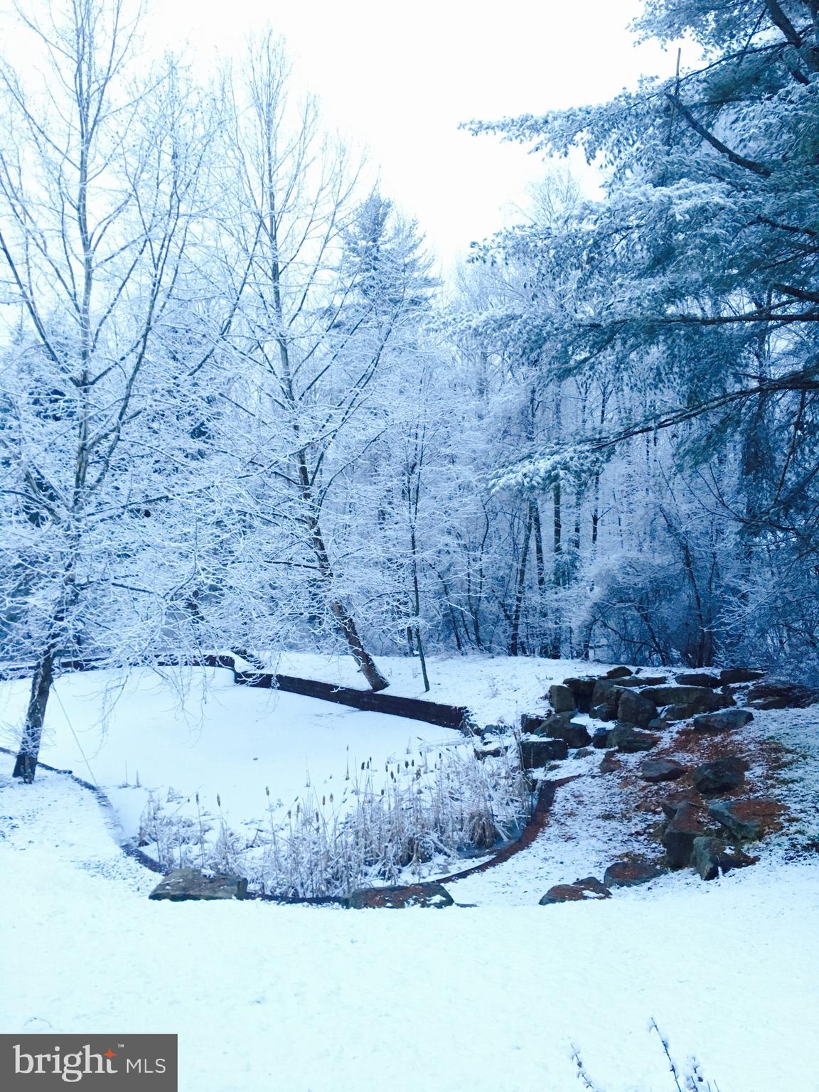 10620 Kyper Road Huntingdon, PA 16652 - Photo 104 of 104 a view of a yard with a tree